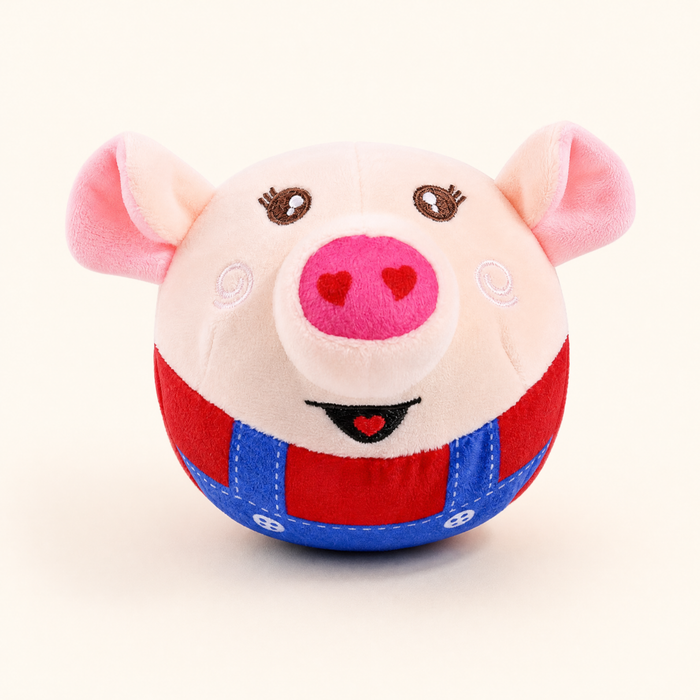 Bouncy Buddy